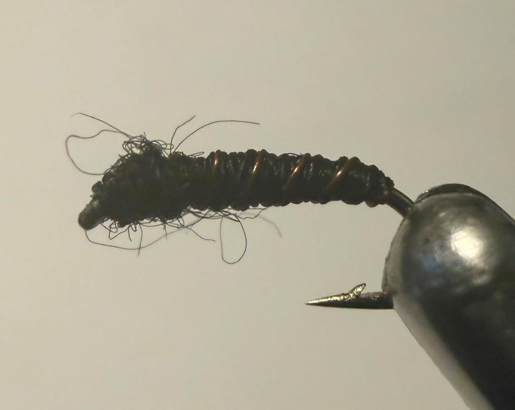 Black Black Beauty trout fly, size 20
