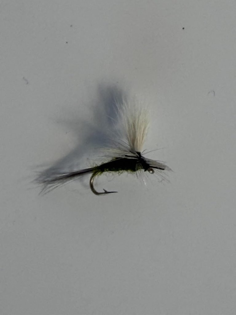 Olive Blue Wing Olive Parachute trout fly, size 16