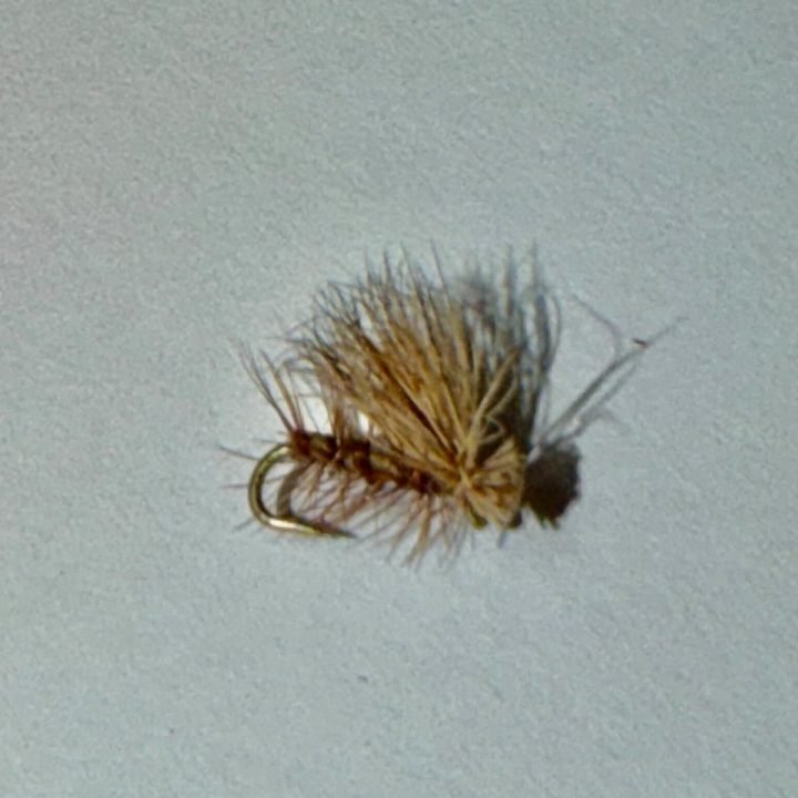 Natural Elk Hair Caddis trout fly, size 18