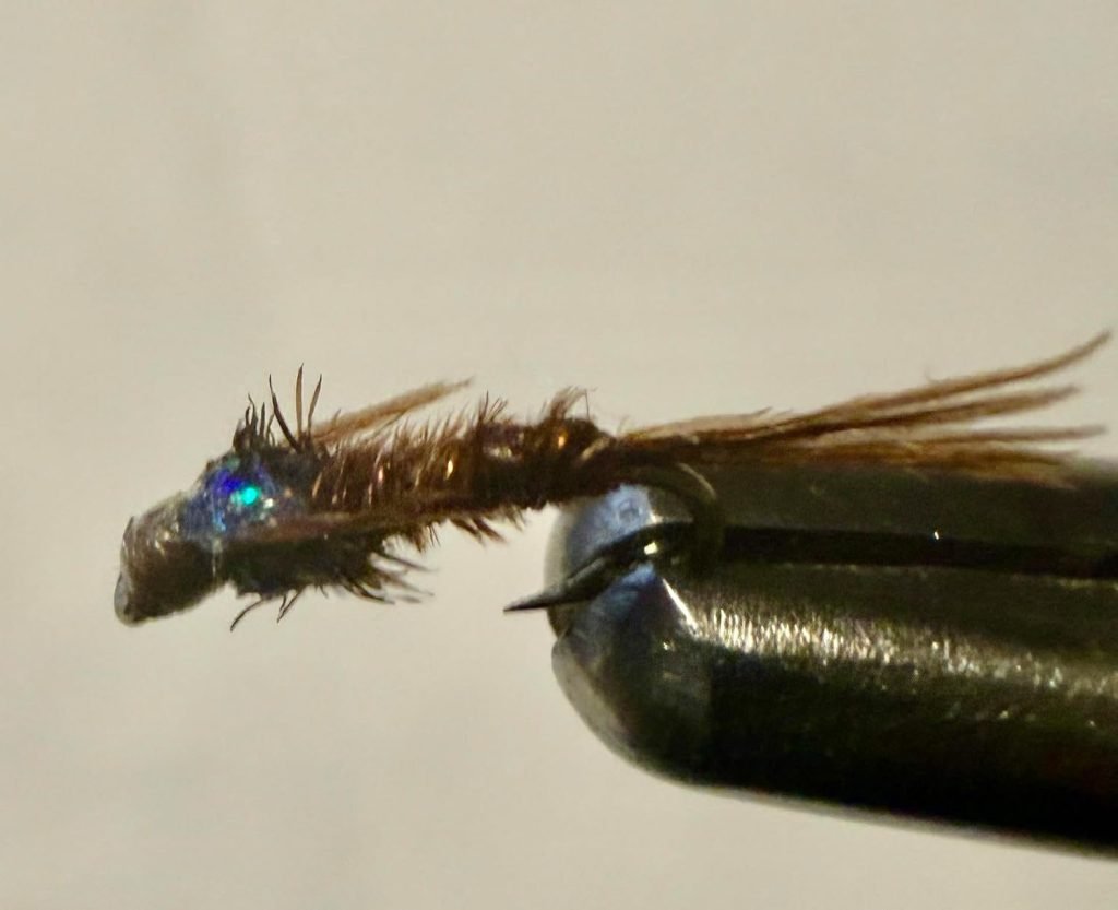 Brown Flashback Pheasant Tail trout fly, size 20