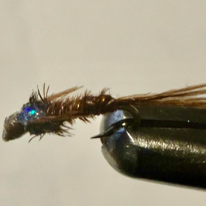Brown Flashback Pheasant Tail trout fly, size 20