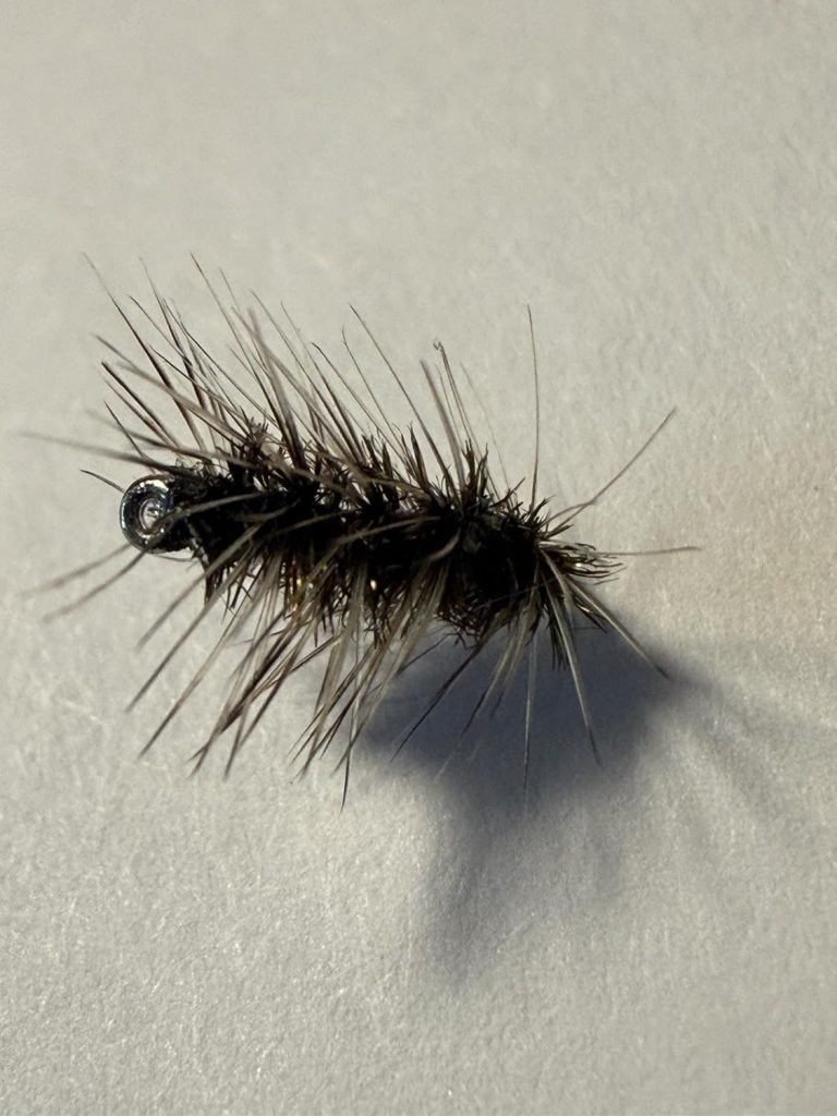 Black Griffith’s Gnat trout fly, size 20