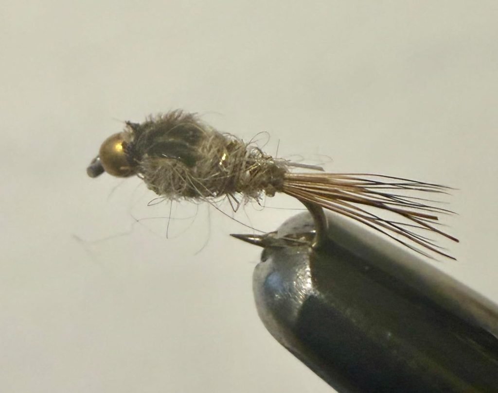 Natural Hare’s Ear Bead Head trout fly, size 20
