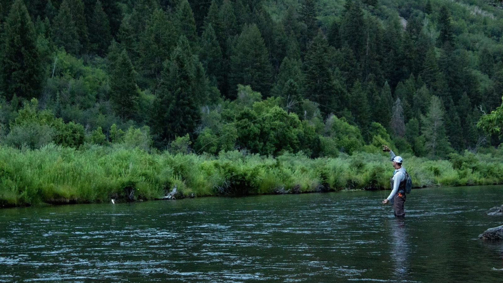 An angler wading a green tailwater river during an autumn mayfly hatch