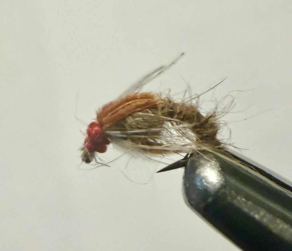 Natural Holy Grail trout fly, size 20