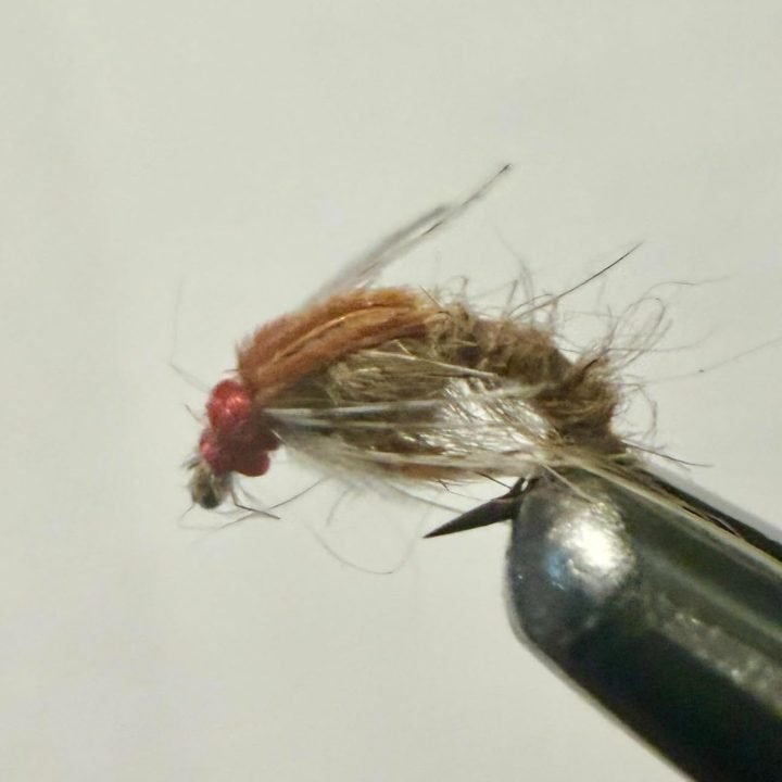 Natural Holy Grail trout fly, size 20
