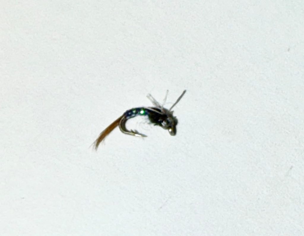 Purple Juju Baetis trout fly, size 20