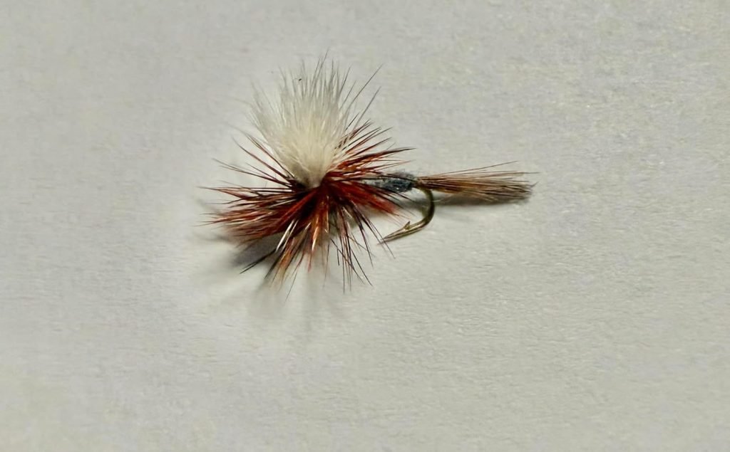 Natural Parachute Adams trout fly, size 16