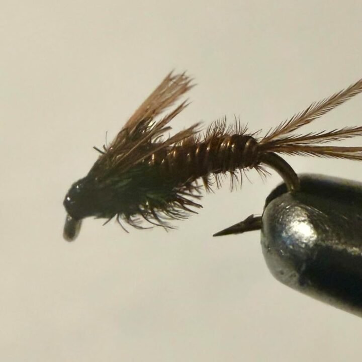 Brown Pheasant Tail Nymph trout fly, size 20