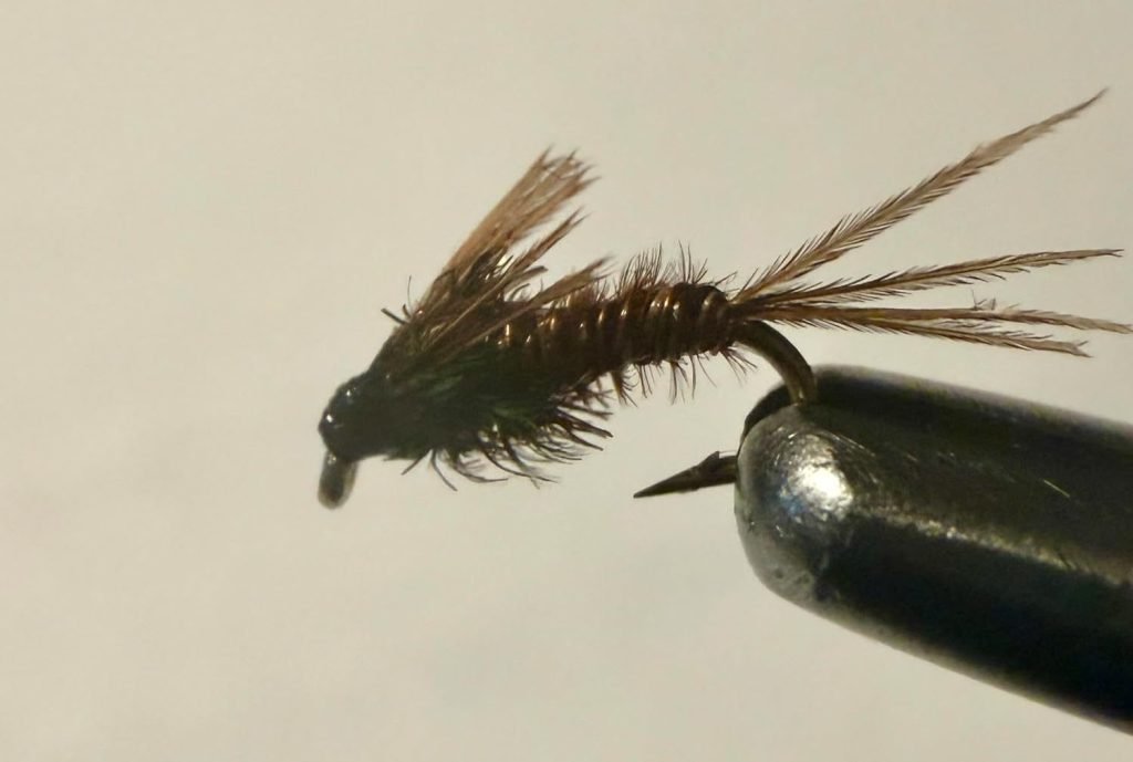 Brown Pheasant Tail Nymph trout fly, size 20