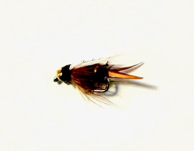 Natural Prince Nymph trout fly, size 20