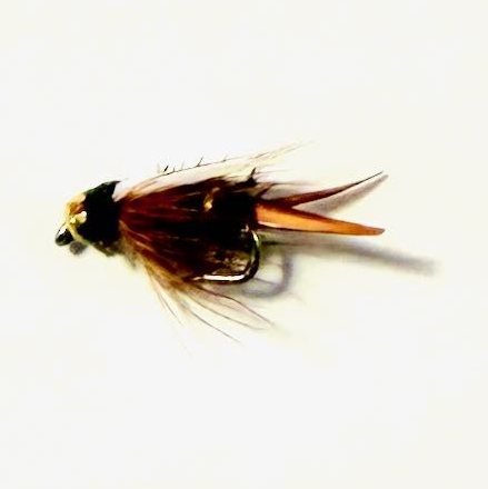 Size 20 Prince Nymph trout fly, natural