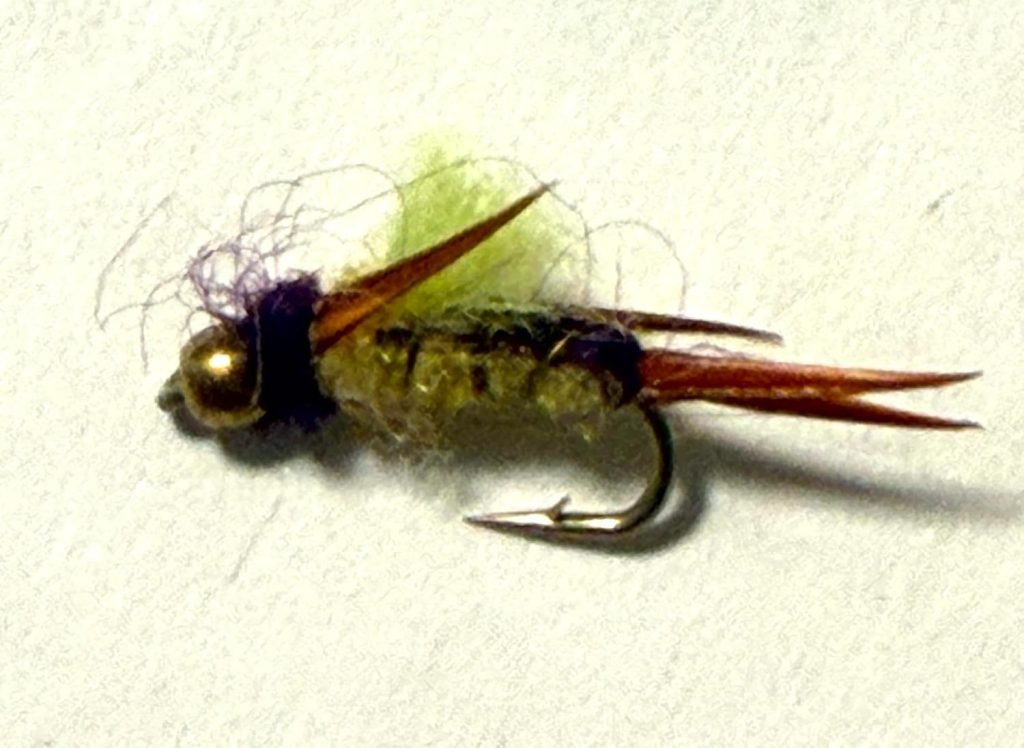 Psycho Prince trout fly, size 20