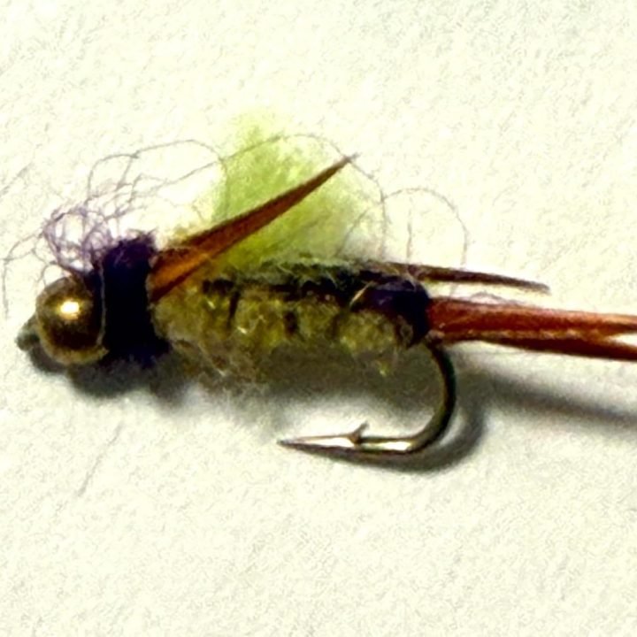Psycho Prince trout fly, size 20