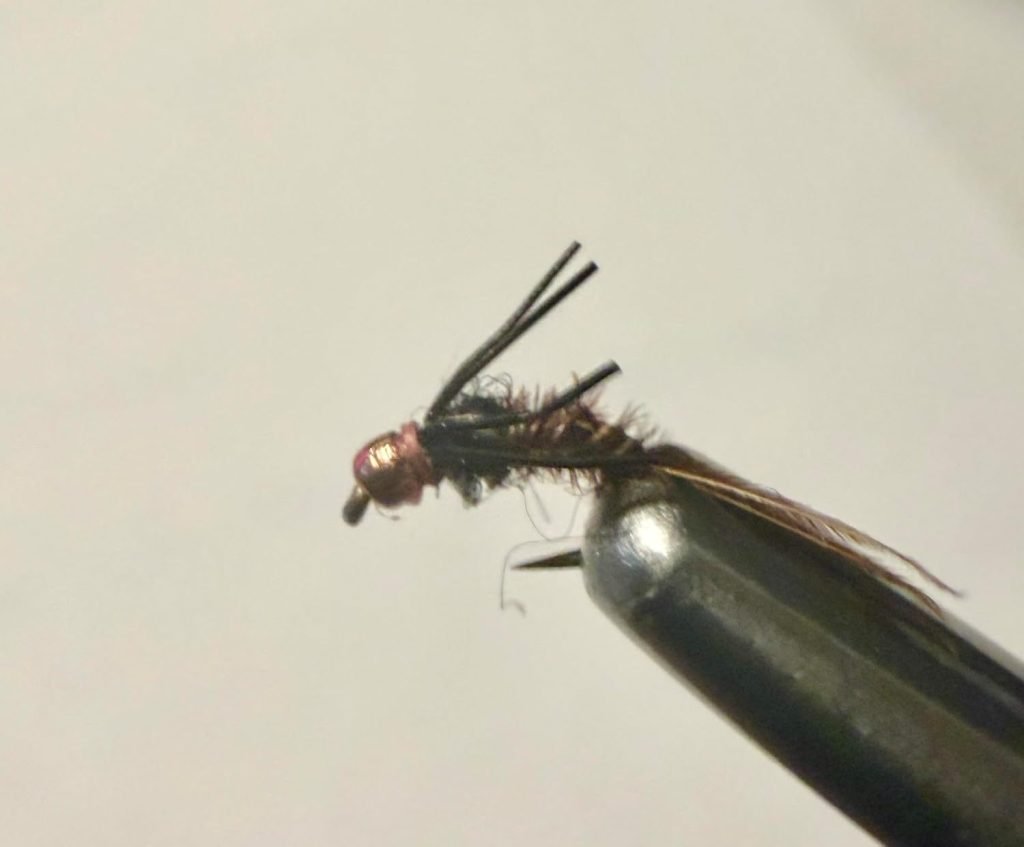 Natural Radiation Baetis trout fly, size 20