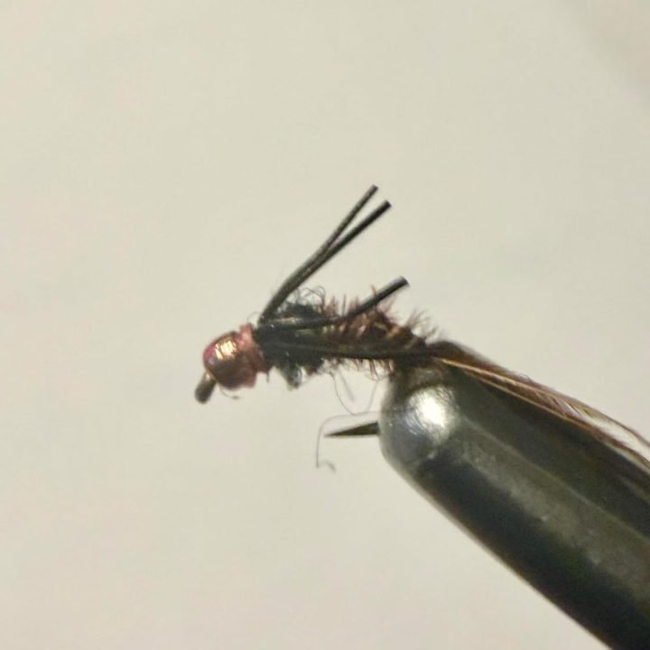 Natural Radiation Baetis trout fly, size 20