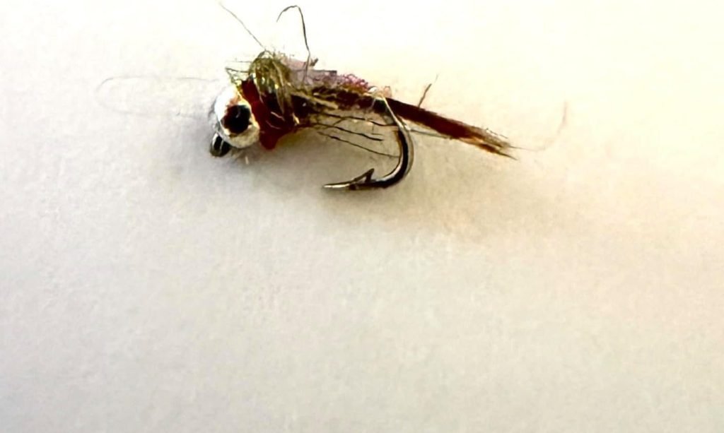 Rainbow Warrior trout fly, size 20