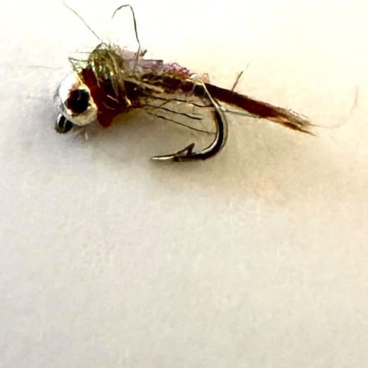 Rainbow Warrior trout fly, size 20