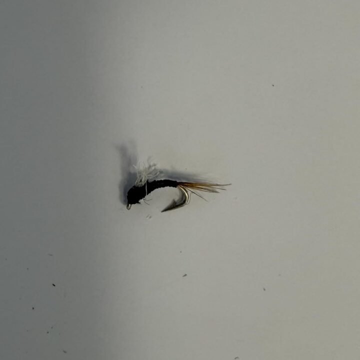 Gray RS2 Sparkle Wing trout fly, size 20