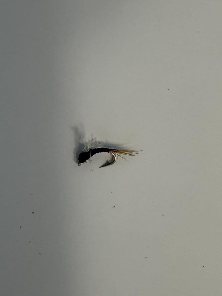 Gray RS2 Sparkle Wing trout fly, size 20