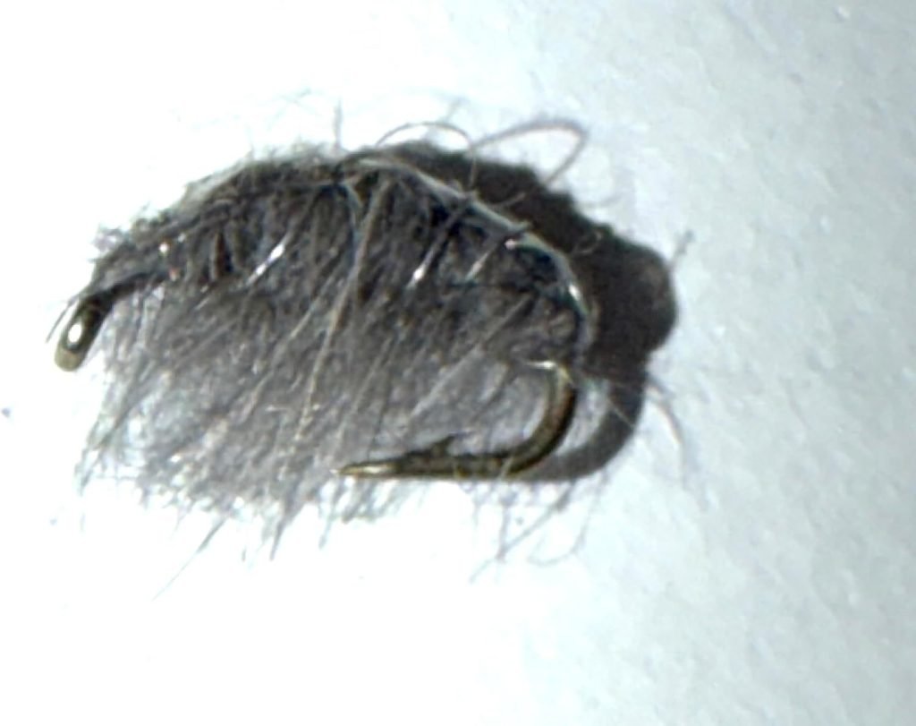 Gray Scud trout fly, size 16