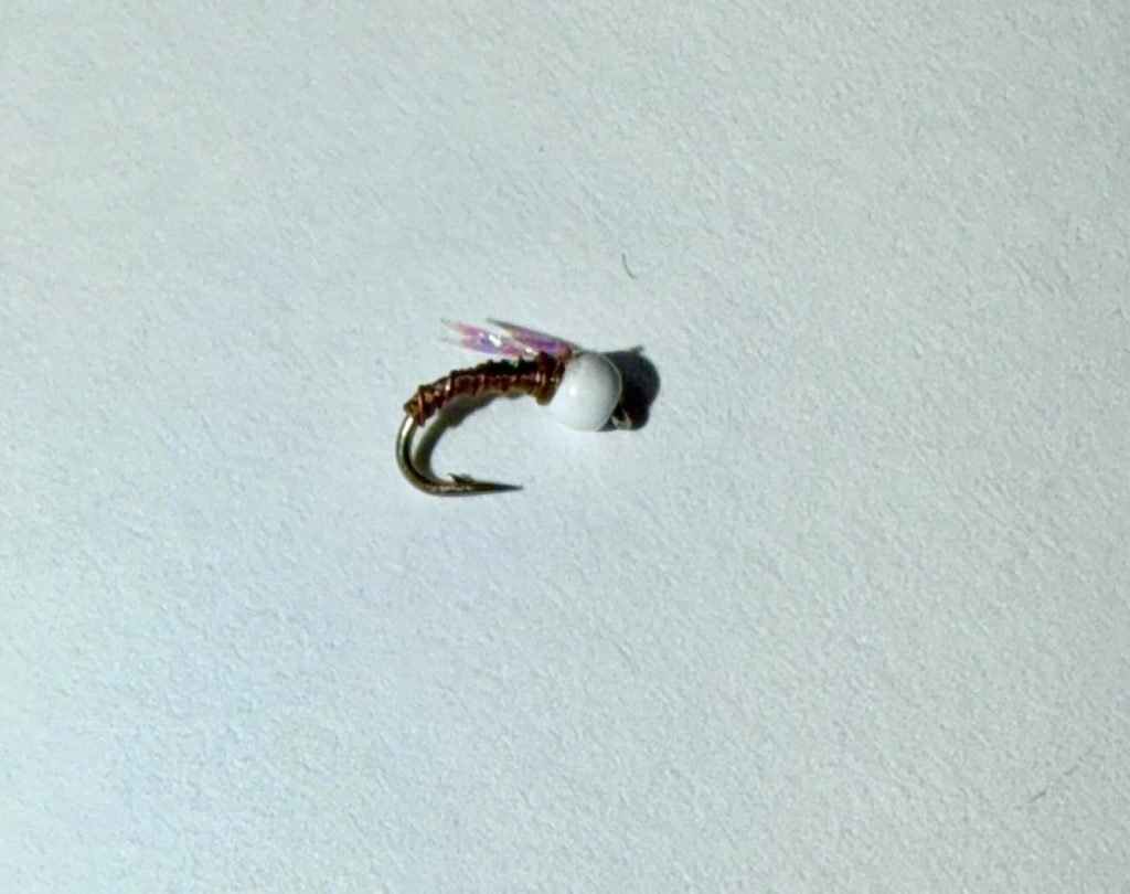 White White Bead Head Zebra Midge Sparkle Wing trout fly, size 20