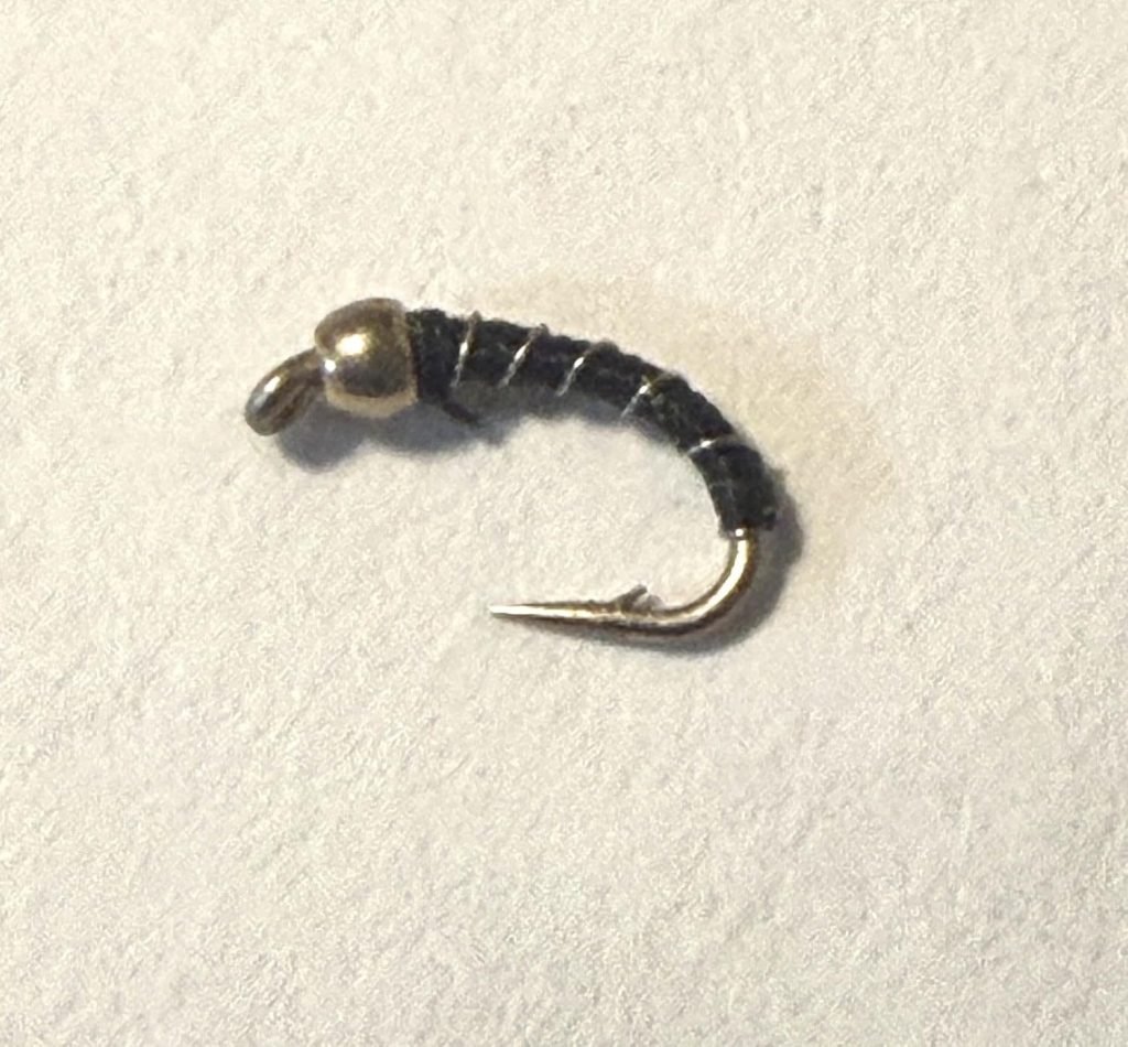 Black Zebra Midge trout fly, size 20