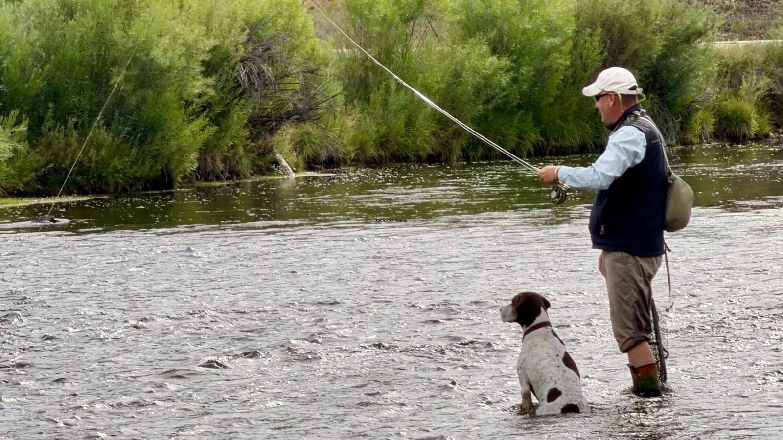 The founder of Tailwater Supply Company casting mid-river, his dog sitting in the current beside him